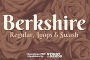Berkshire Pro Family, a Font by Stiggy & Sands (Thumbnail 1 of 9)