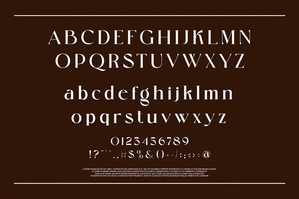 Qilsand Elegant Ligature Serif, a Serif Font by Alfinart (Photo 7 of 10)