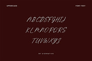 Promica Romance Modern Signature, a Handwritten Font by UICreative (Thumbnail 9 of 13)