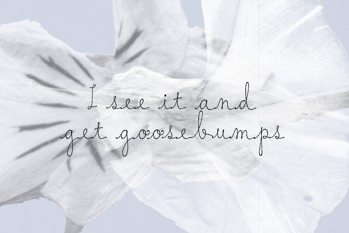 Moth & Static Handwritten Font, a Script Font by Mneme (Photo 5 of 9)