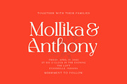 Allogist - Modern Typeface, a Serif Font by Dora Typefoundry (Thumbnail 14 of 15)