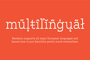 Bardamu – Happy & Weird Slab Serif, a Slab Serif Font by Eugene Tantsurin (Thumbnail 5 of 15)
