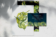 Sea plants watercolor collection, an Illustration by Kate Lanbina (Thumbnail 18 of 18)