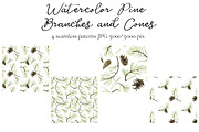 Watercolor Pine Branches and Cones, a Decorative Illustration by cat_arch_angel (Thumbnail 4 of 5)