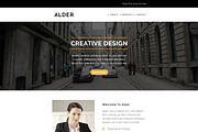 ALDER - Responsive Email Template, an Email Template by FourDinos (Thumbnail 2 of 3)