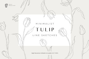 Minimalist Tulip Line Sketches