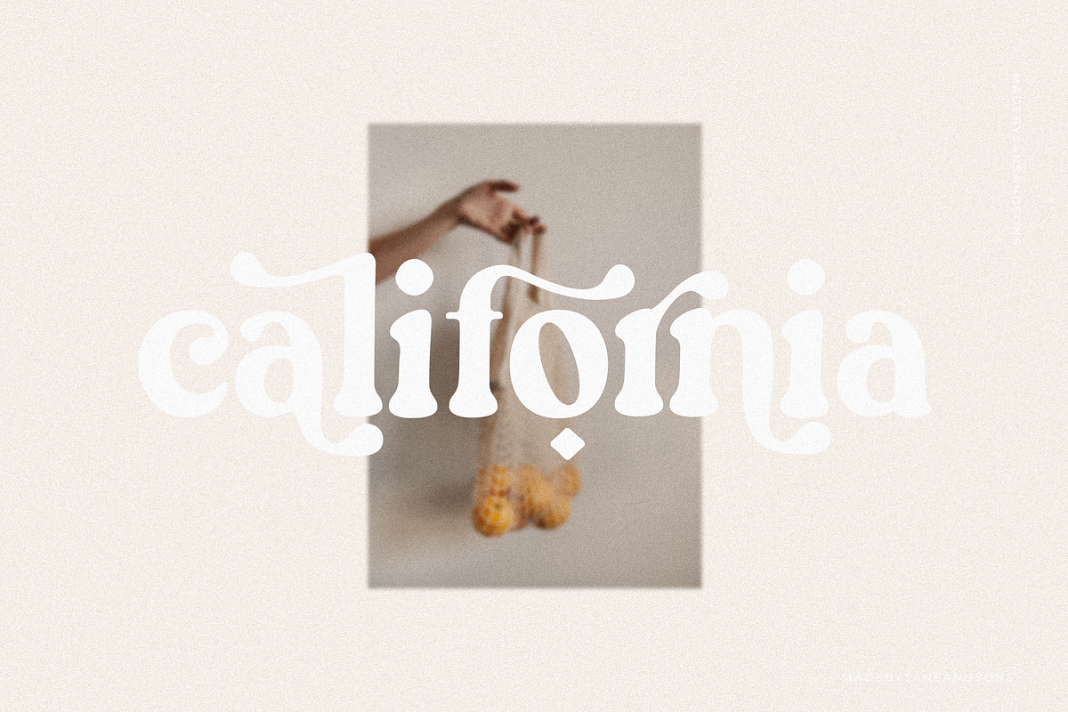 Groovy Fruity - Retro Serif, a Serif Font by Sans & Sons (Photo 7 of 10)