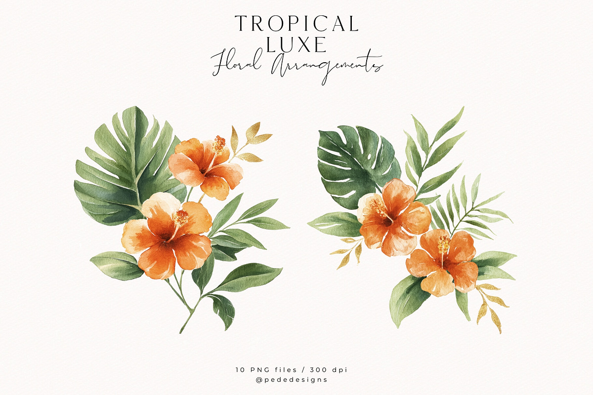 Tropical Luxe Collection, an Illustration by PeDe Designs (Photo 12 of 28)