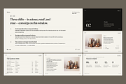 Investor Pitch Deck - Skincare, a Presentation Template by Oday Noon (Thumbnail 2 of 8)