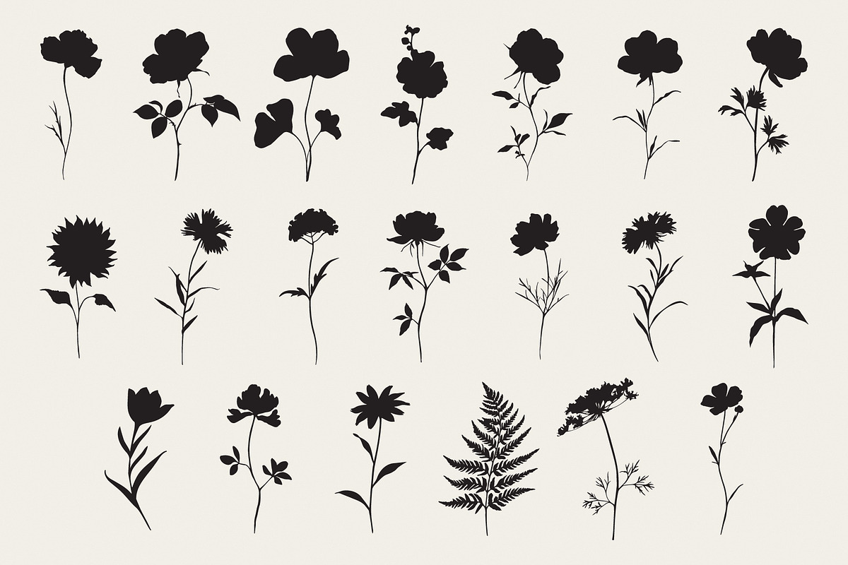 Botanical Flower Silhouettes Set, an Object Illustration by NatalieArtShop (Photo 8 of 12)