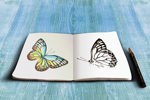 Multicolored Butterfly In Watercolor