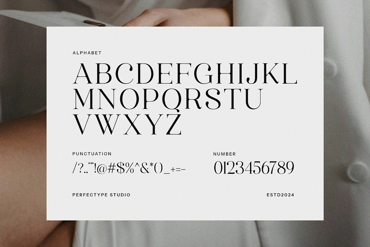 Carbon Modern Serif Font, a Serif Font by Perfectype (Photo 8 of 8)