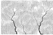 Growth - 50 Backgrounds, a Texture Graphic by GarryKillian (Thumbnail 28 of 51)