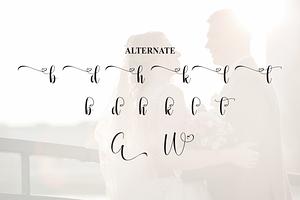 Wedding Graceful Script Font