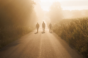 Pilgrims Walking on Rural Road in Golden Morning Fog, Spain