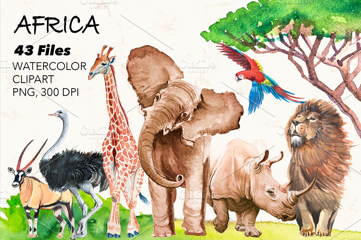 Watercolor AFRICA, an Animal Illustration by lilisavelieva (Photo 1 of 6)