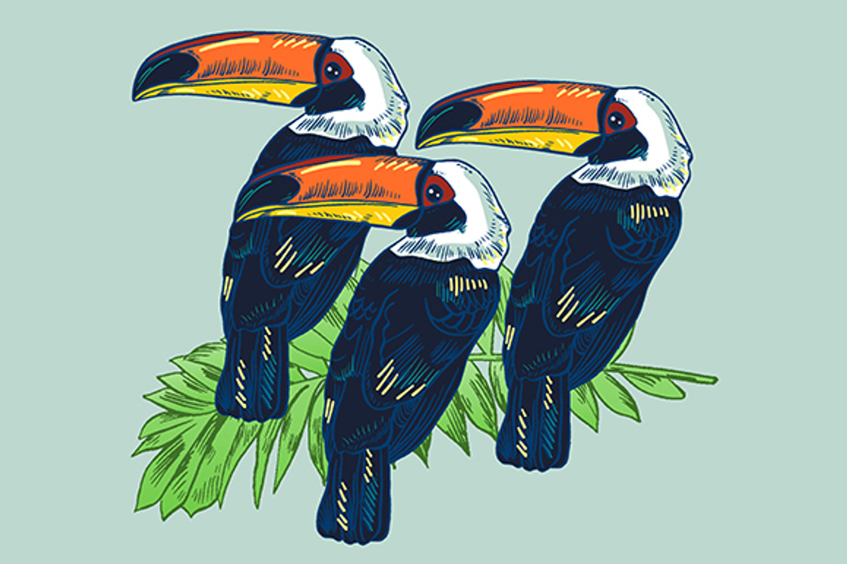 TOUCAN, an Animal Illustration by Tanya Akhmett (Photo 10 of 11)