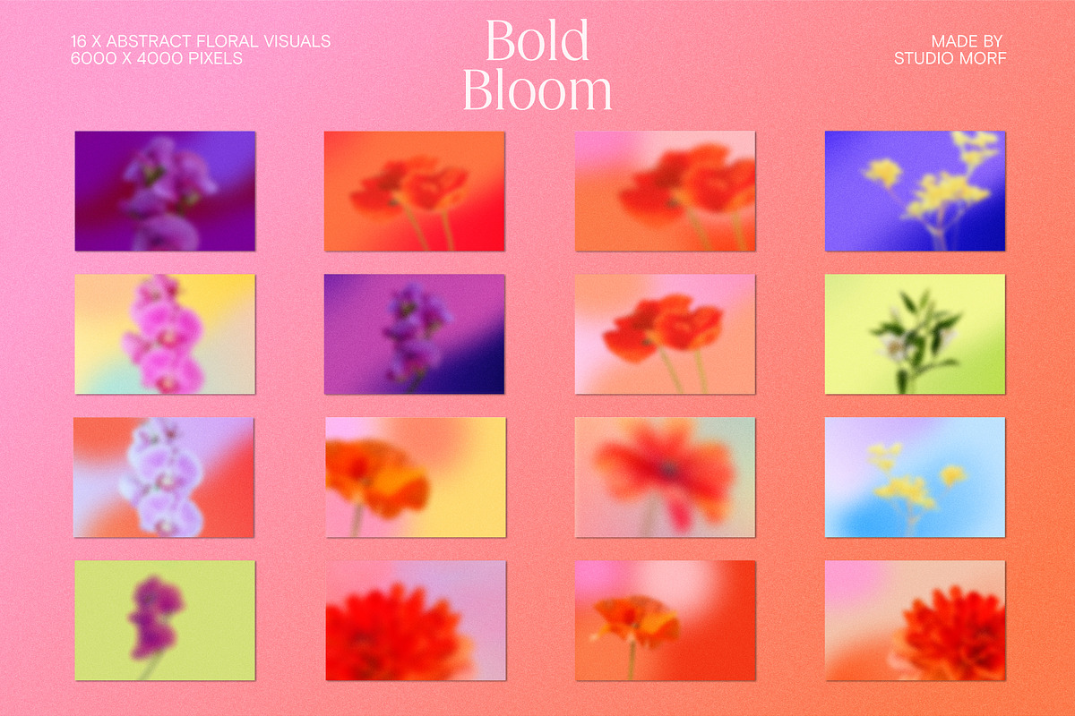 Bold Bloom – Floral Backgrounds, a Background Graphic by StudioMorf (Photo 14 of 14)