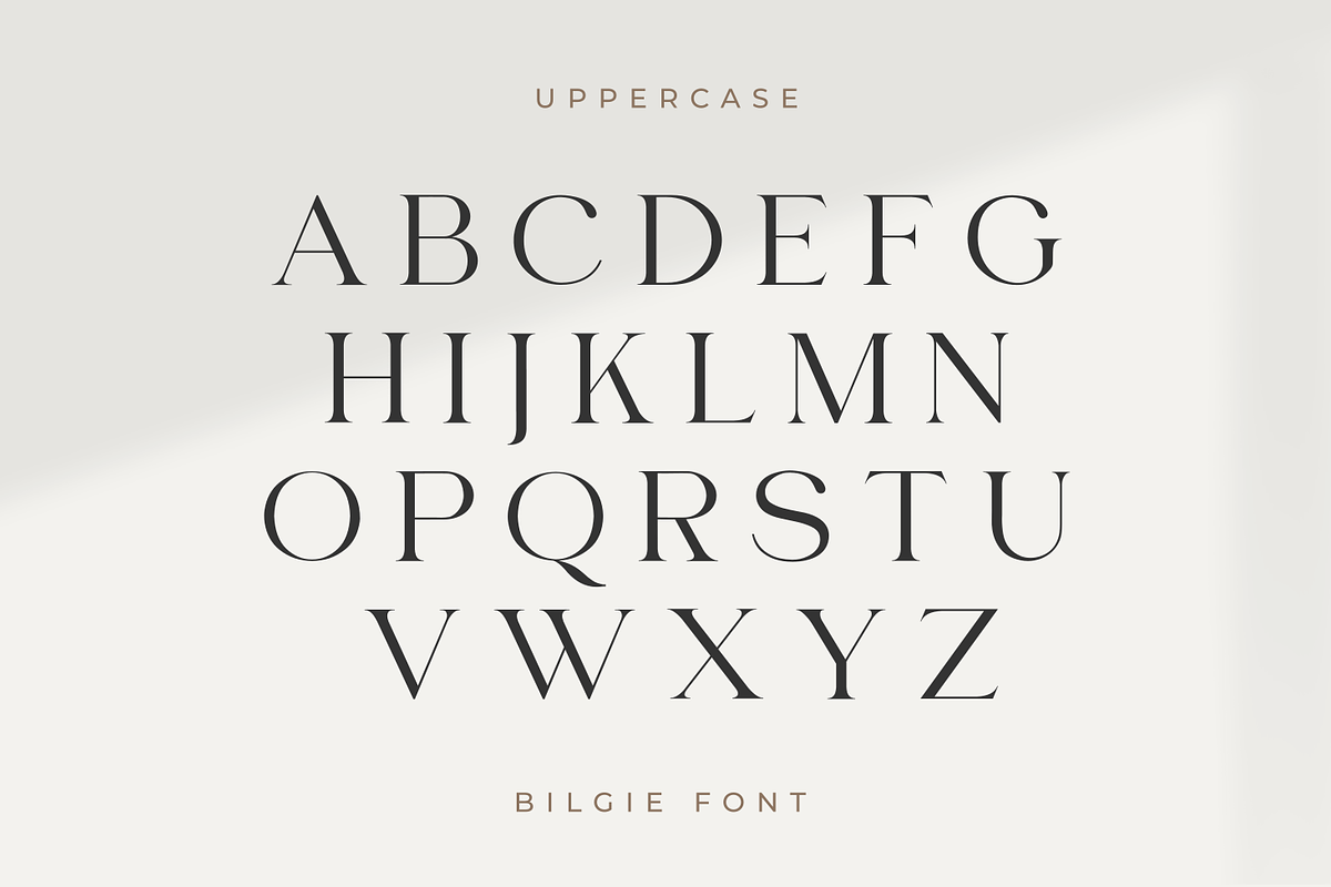 Bilgie - Chique Serif Font, a Serif Font by zeenesia (Photo 12 of 19)