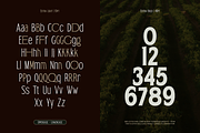TRT Bird of Feather – Elegant Serif, a Font by truetype (Thumbnail 2 of 15)
