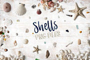 Shells png collection Photo clip art, an Object Graphic by wings of design (Thumbnail 1 of 5)