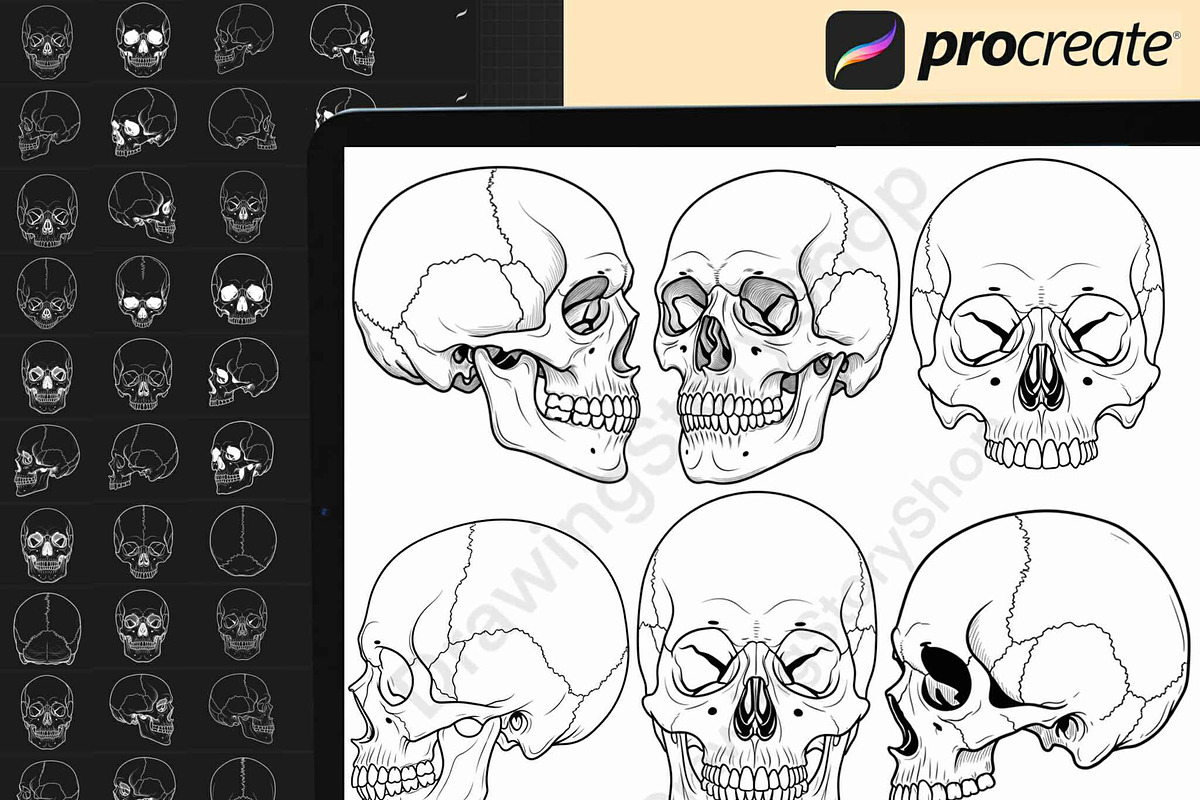 160 Procreate Skull Stamp Brushes, a Brush Add-On by DrawingStoryShop (Photo 2 of 6)
