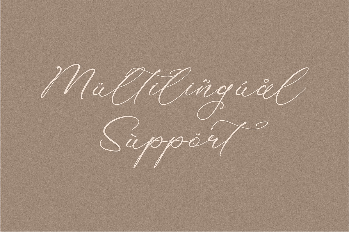 Holicakes Serfinah Beauty Script, a Script Font by Storytype Studio (Photo 12 of 15)