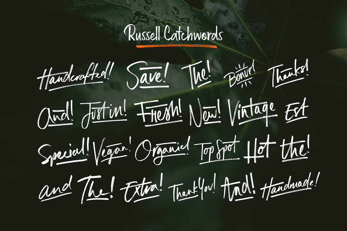 Russell Brush Script Font preview 8