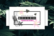 New Tropics. 111 graphic elements, an Object Graphic by alekseiderin (Thumbnail 4 of 9)