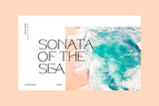 Modern ligature-rich font, a Serif Font by elvinova (Thumbnail 3 of 18)