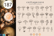 AUTUMN Cozy Clip Art and Patterns, a Graphic by Katrinelly (Thumbnail 5 of 13)