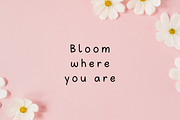 Pandas and Bamboo Font, a Handwritten Font by Sofia Skoog (Thumbnail 2 of 12)
