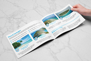 Travel Agency Catalog /Brochure V863