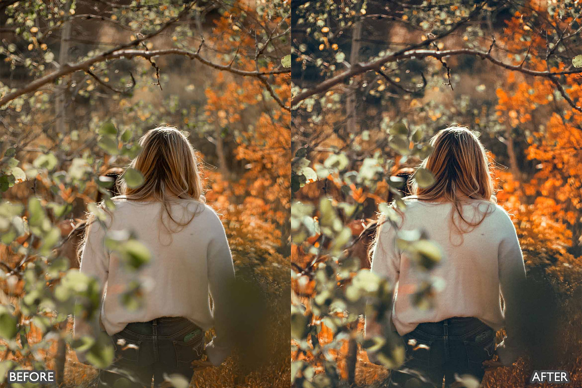 FALL PRESETS for Autumn Photos, a Preset Add-On by AAA Presets (Photo 6 of 22)