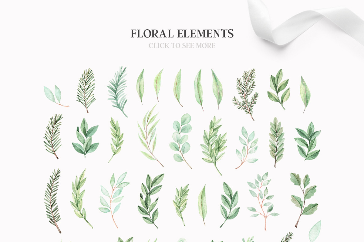 Elegant eucalyptus & fir branches, a Decorative Illustration by Kate Macate (Photo 6 of 6)
