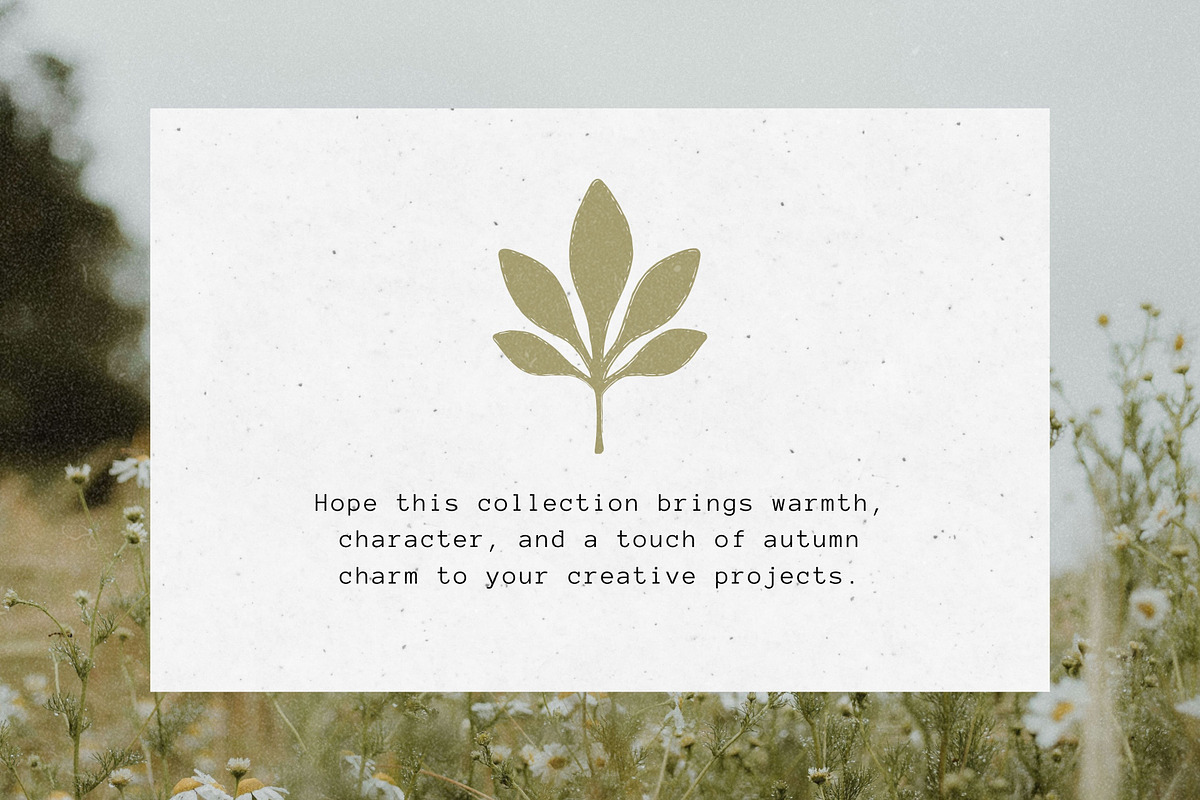 Autumn Foliage: 100 Leaves Pack, an Object Illustration by Veyla (Photo 15 of 15)