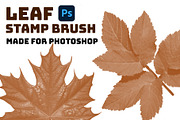 Leaf brush stamps Photoshop, a Brush Add-On by Chipshpow Graphics (Thumbnail 2 of 8)