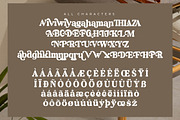 Daylist Beach Retro Serif Font, a Serif Font by Letterena Studios (Thumbnail 14 of 15)