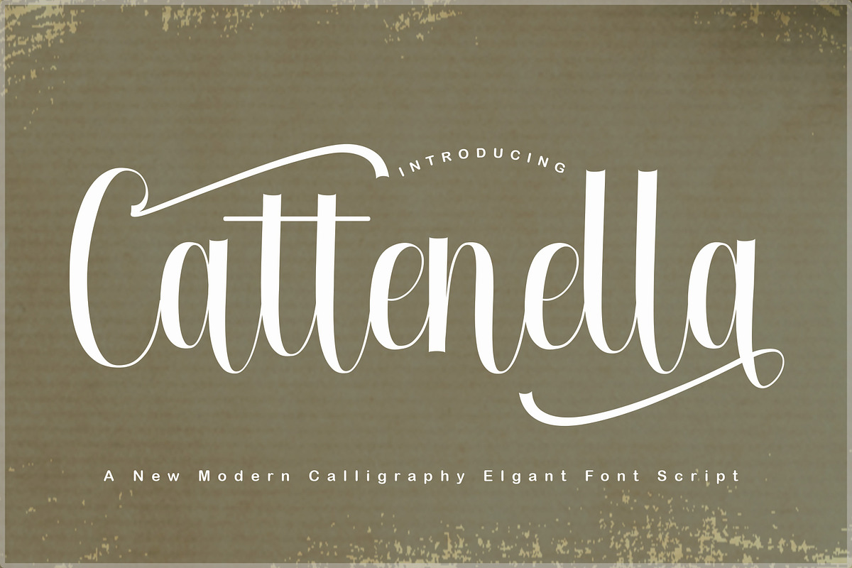 Cattenella, a Script Font by PollemSt (Photo 1 of 7)