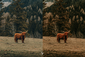 10 Rustic Lightroom Presets