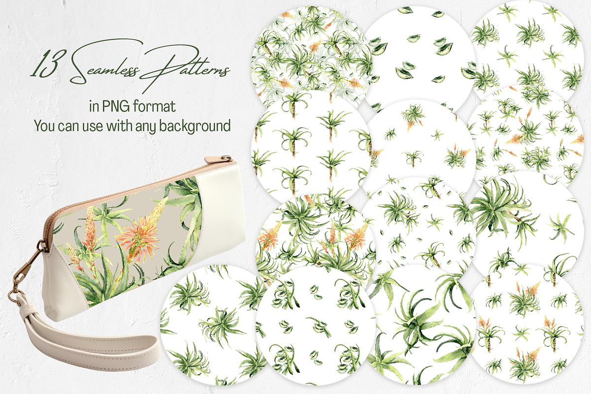 Aloe Watercolor Collection, a Decorative Illustration by WatercolorElena (Photo 9 of 11)