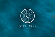 Sun and Moon Logo design, a Branding & Logo Template by Michael Rayback Design (Thumbnail 4 of 4)