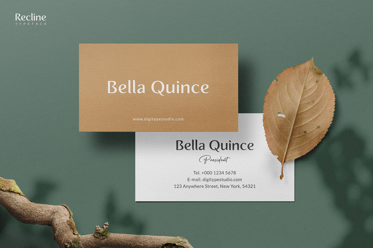 Recline, a Sans Serif Font by Digitype Studio (Photo 9 of 10)