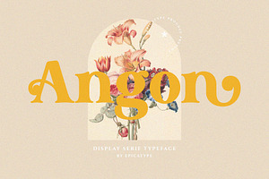 Angon - Retro Serif Font