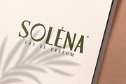 Leonis - Luxury Font, a Serif Font by Snape Design Studio (Thumbnail 11 of 12)