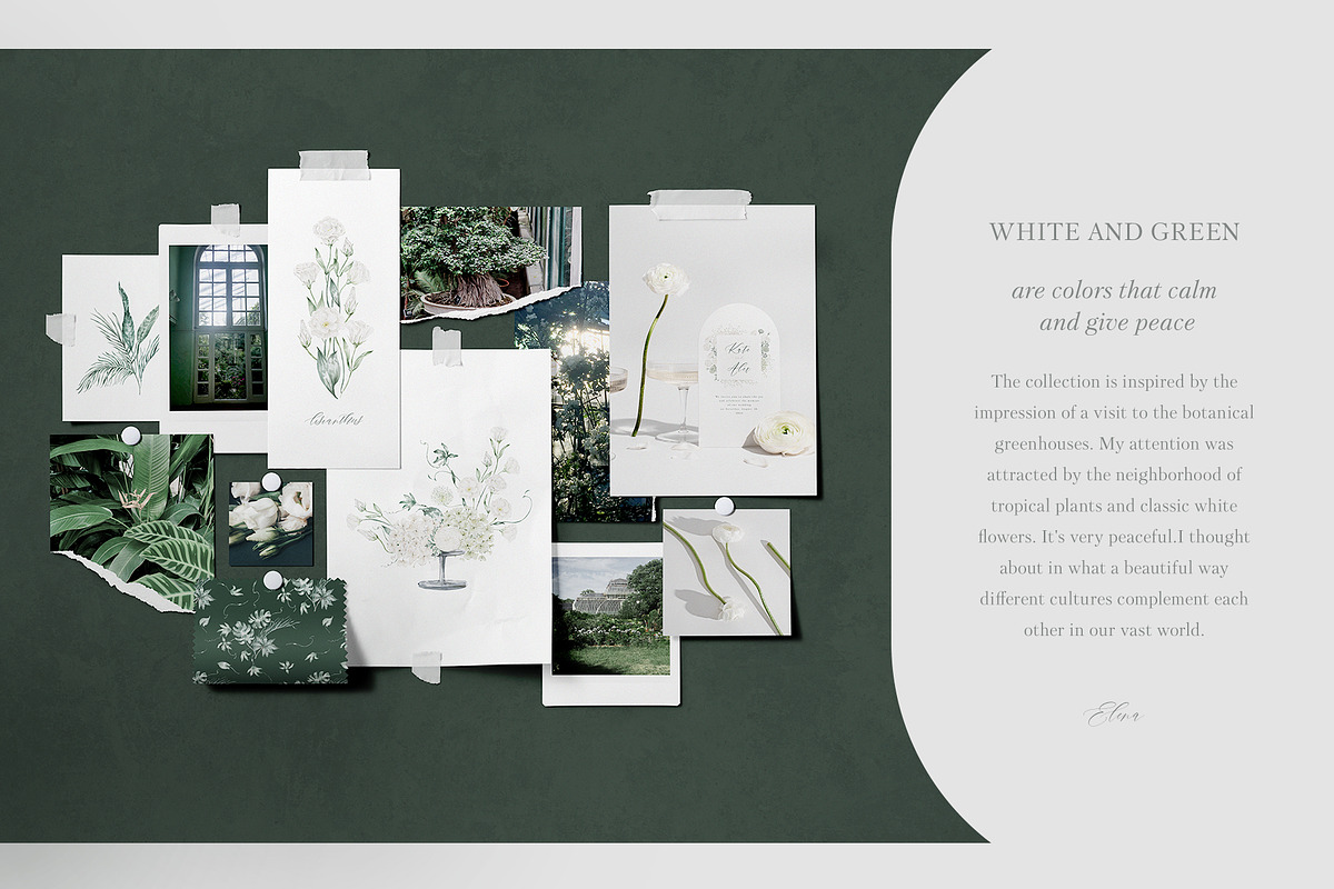 White flowers and tropical leaves, an Illustration by astelenadesign (Photo 2 of 14)