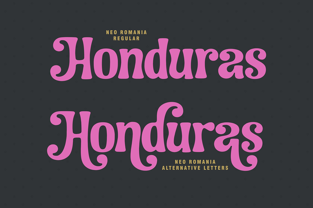 Neo Romania - Decoratif Serif Font, a Serif Font by Subectype Studio (Photo 3 of 9)