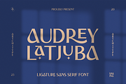 Audrey Latjuba - Sans Serif Font, a Sans Serif Font by Artchitype Studio (Thumbnail 1 of 14)