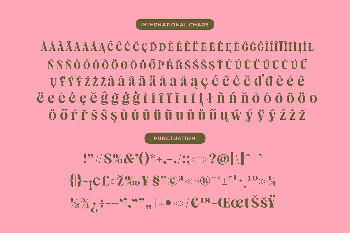 Sagira Beverly Modern Display Serif, a Script Font by timelesstype.co (Photo 14 of 15)