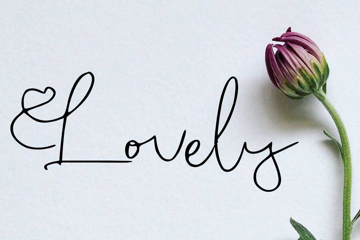 careless font preview 2